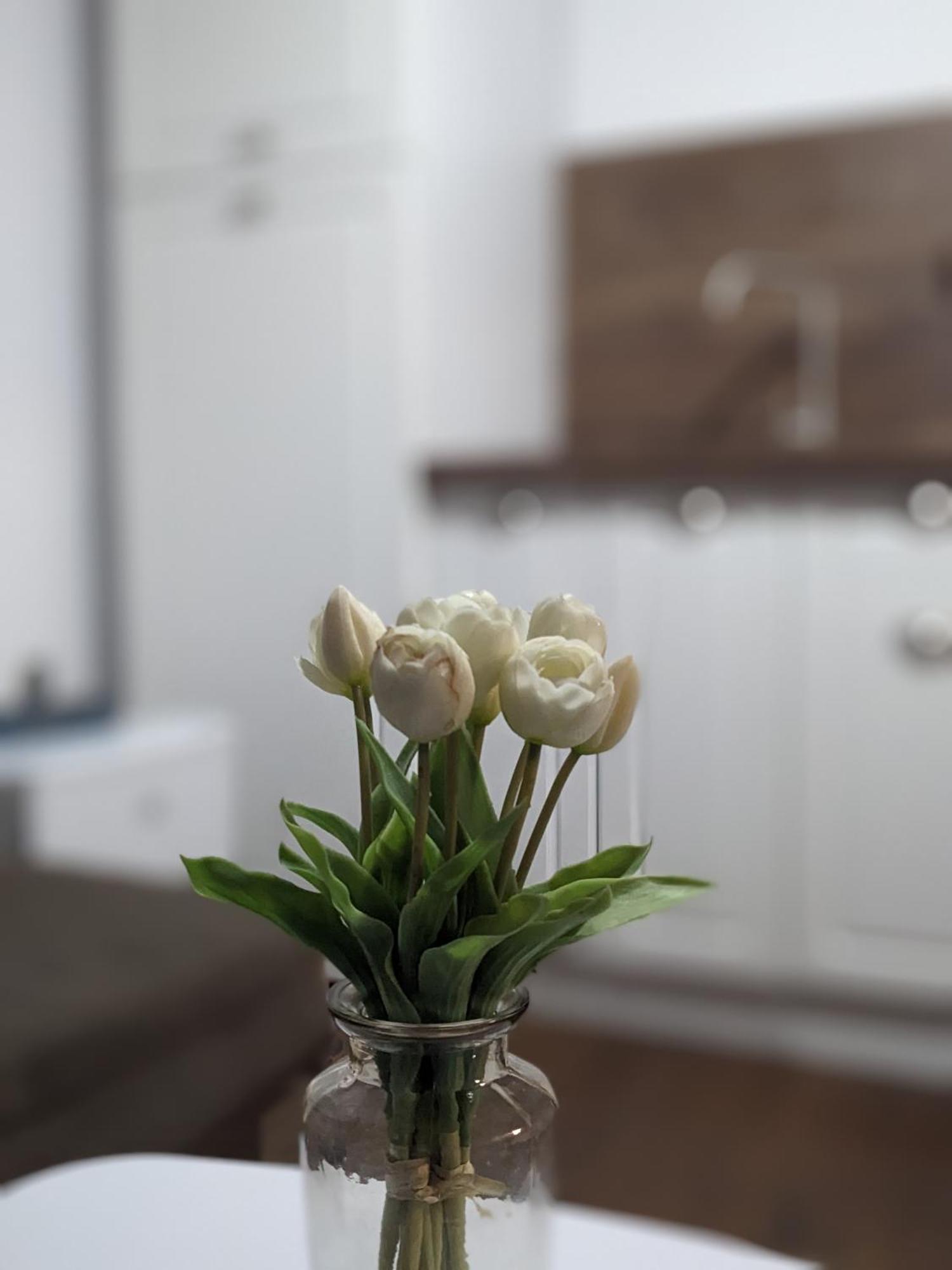 Honey I'M Home Apartments Велико-Тирново Екстер'єр фото